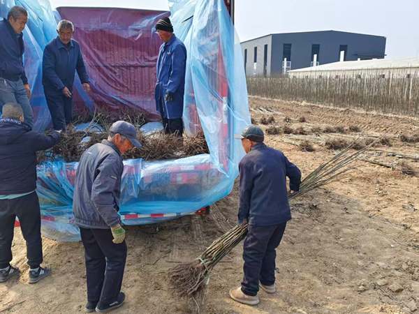装车发货